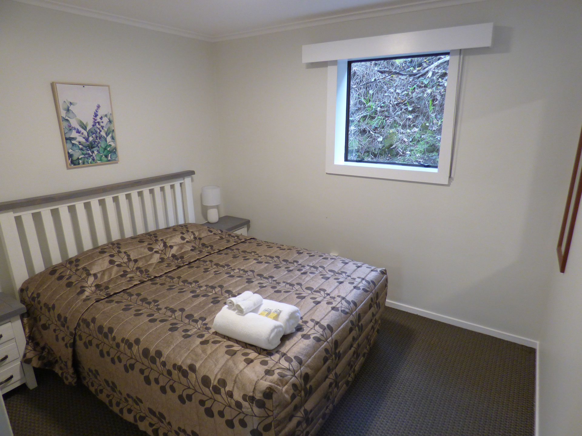 Dunedin Motel Accommodation